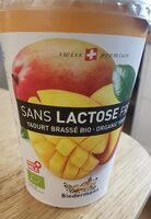 Yaourt brasse bio