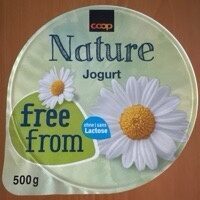 Yogurt nature
