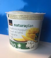 Yogourt au lait de bebris Mangue