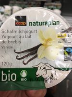 Yogourt au lait de brebis Vanille