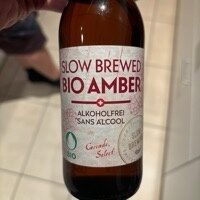 Bio Amber