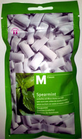 Gomme à mâcher Spearmint