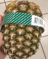 Ananas