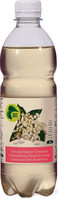 Bio Limonade Sureau
