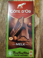 BonBonBloc Melk Praliné Hazelnoot