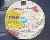 Cottage Chesese Sans Lactose