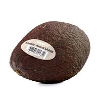 Avocado Large