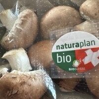 Champignons Bio braun