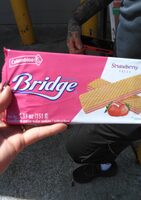 Bridge wafer