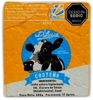 Queso Fresco Dlusia Costeño Bloque