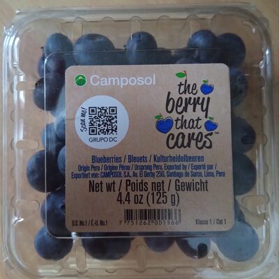 Kulturheidelbeeren