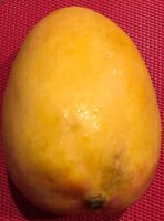 Mangue