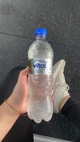 Vital de Chanquihue Agua Mineral Gasificada