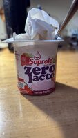 Zero Lacto Batido Frutilla