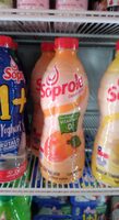 Yoghurt Batido Damasco, Botella