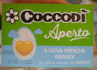 6 Uova Fresce Grandi