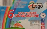 6 Uova Fresche Grandissime