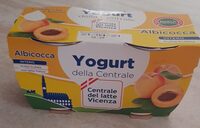 Yogourt  albicocca