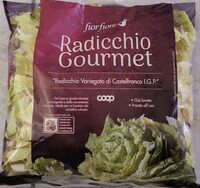 Radicchio gourmet