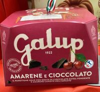 Panettone Amarene E Cioccolato