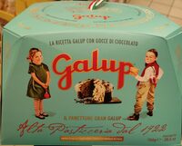 Il panettone grand Galup