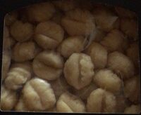 Gnocchi di patate rigati