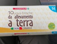 Uova da allevamento a terra M