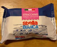 Stracchino Senza Lattosio