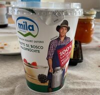 Yogurth Intero Frutti di Bosco