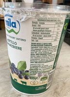 Yogurt mila ai mirtilli