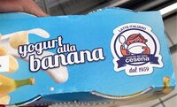 Yogurt