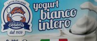 Yogurt bianco intero