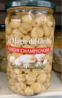 Funghi champignons