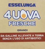 Uova fresche grandi - NO Antibiotici