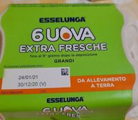 Uova