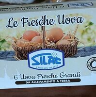 Uova