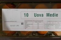 Uova medie