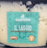 Il Saggio