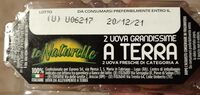 2 Uova Grandissime A Terra