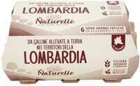 Uova grandi fresche da galline allevate a terra nei territori della Lombardia