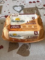 Rustiche da galline allevate senza l'uso di antibiotici uova