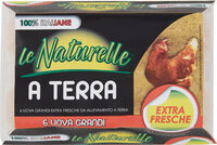 A terra uova grandi extra fresche da allevamento a terra