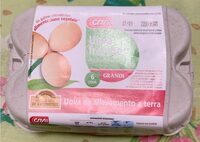 Uova fresche