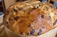 Panettone con goccie di cioccolato