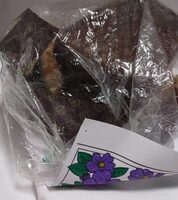 Panettone basso con crema al pistacchio