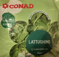 Lattughino