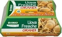 Uova Fresche Grandi Da Allevamento a Terra