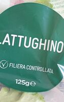 Lattughino
