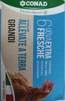 Uova extra fresche