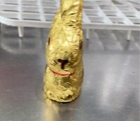 Gold Bunny